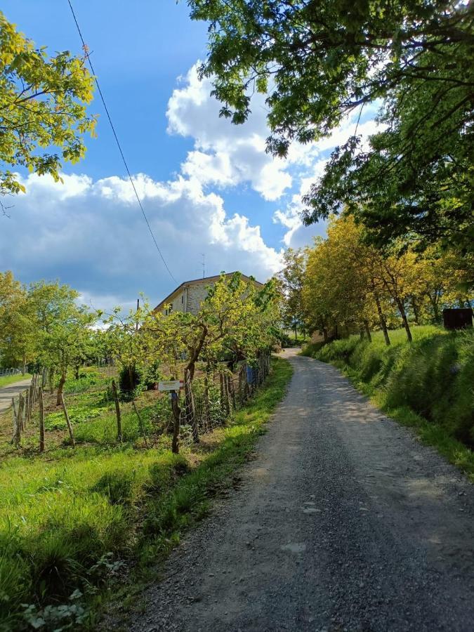 Agriturismo Al Monte سان بييرو في بانيو المظهر الخارجي الصورة