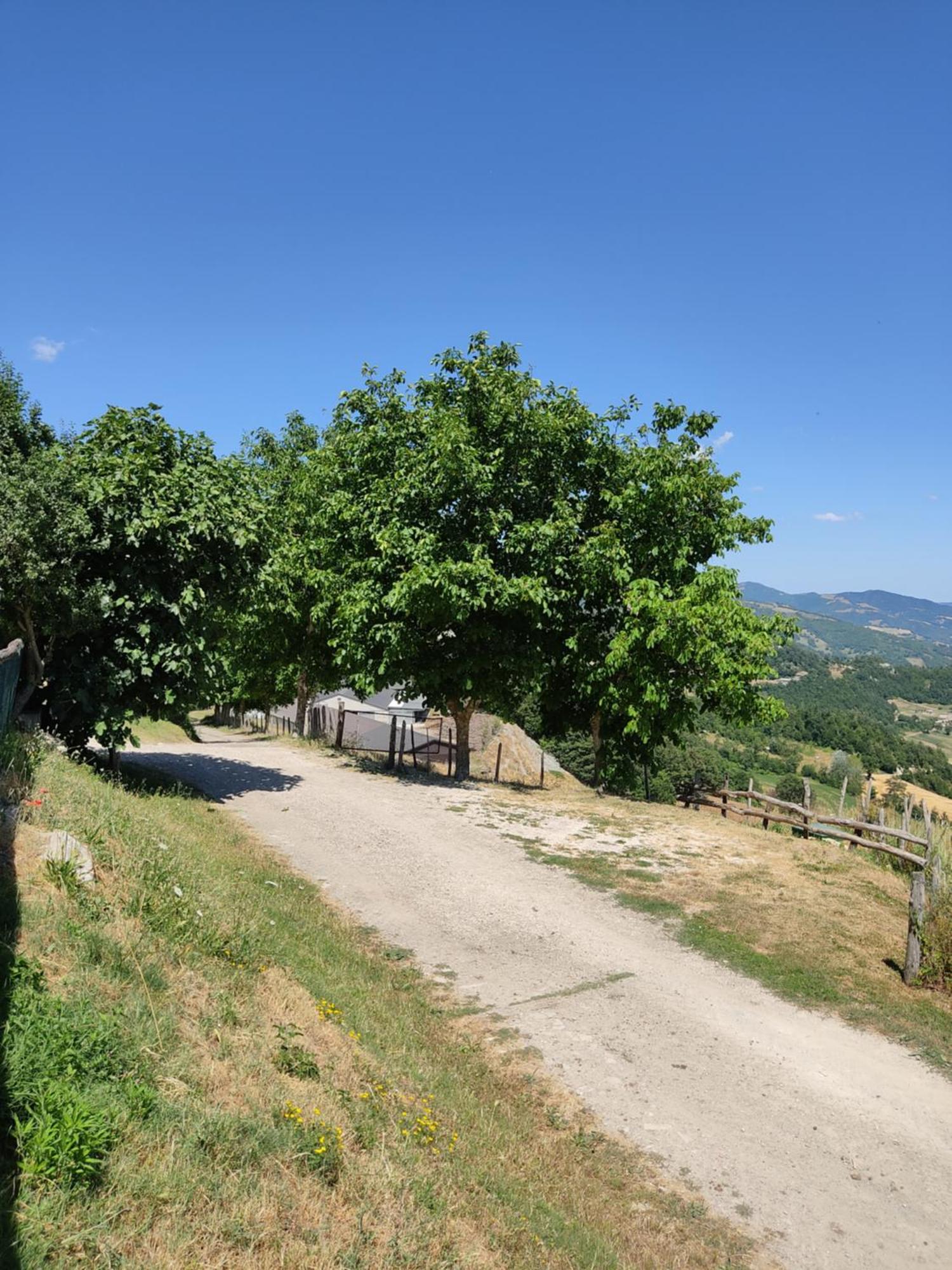 Agriturismo Al Monte سان بييرو في بانيو المظهر الخارجي الصورة