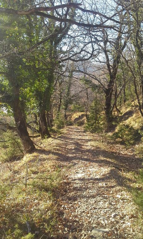 Agriturismo Al Monte سان بييرو في بانيو المظهر الخارجي الصورة